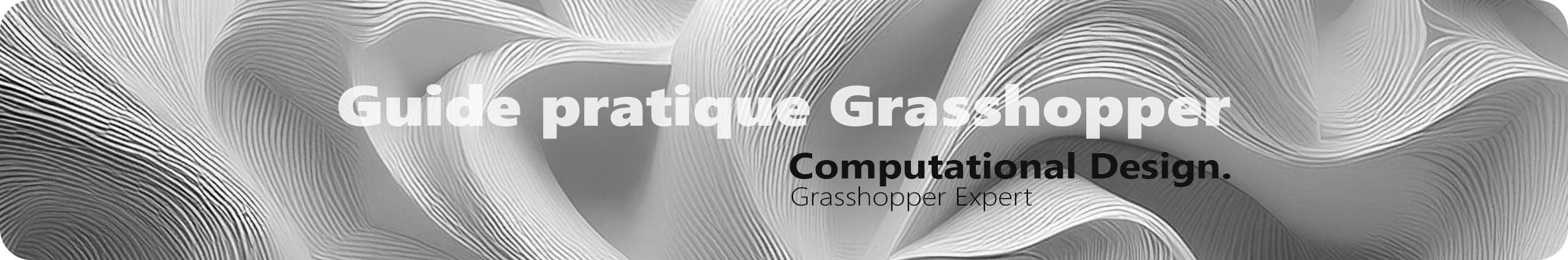 Guide pratique Grasshopper